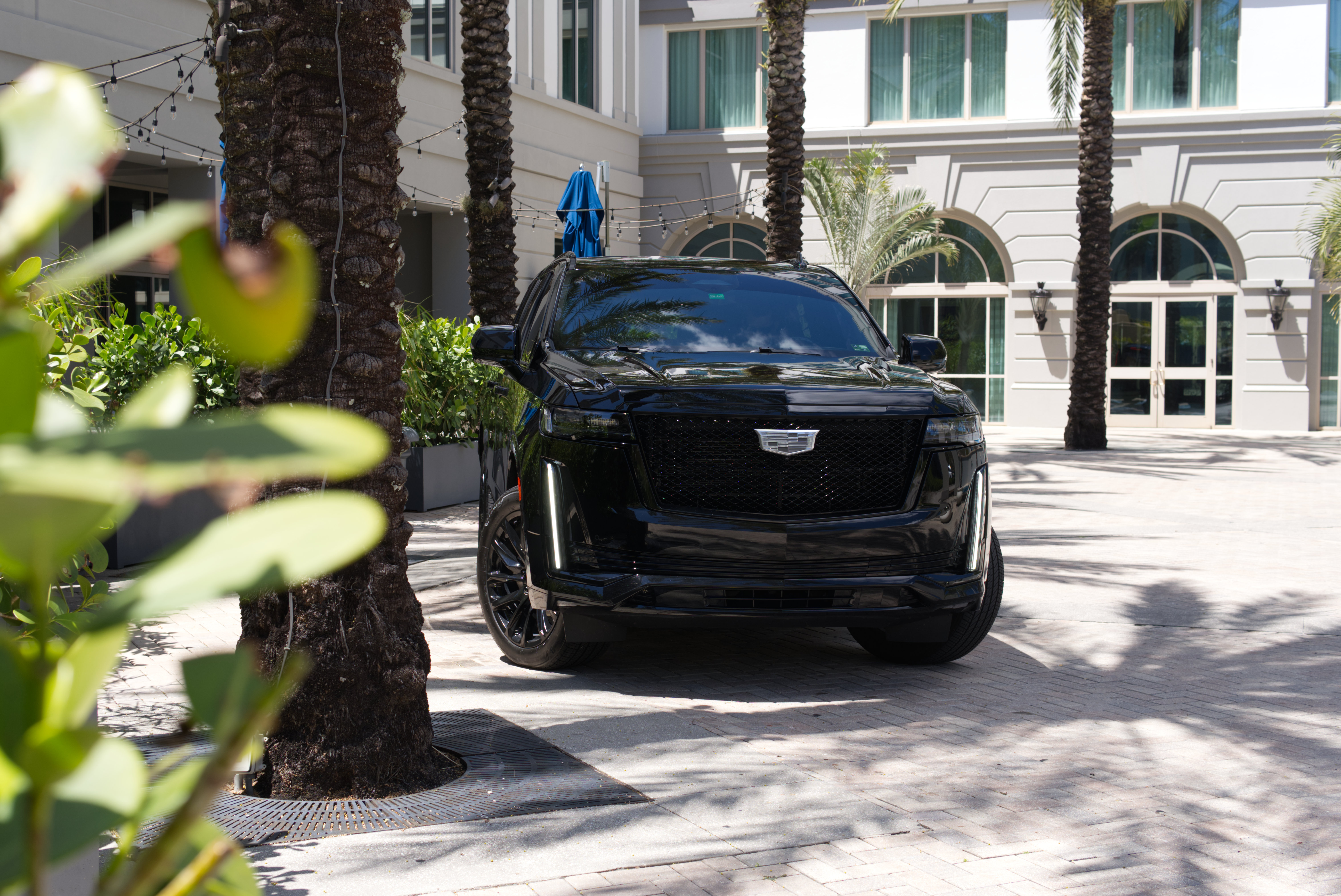 Black Cadillac Escalade luxury SUV front view under palm trees - LuxRide private chauffeur fleet