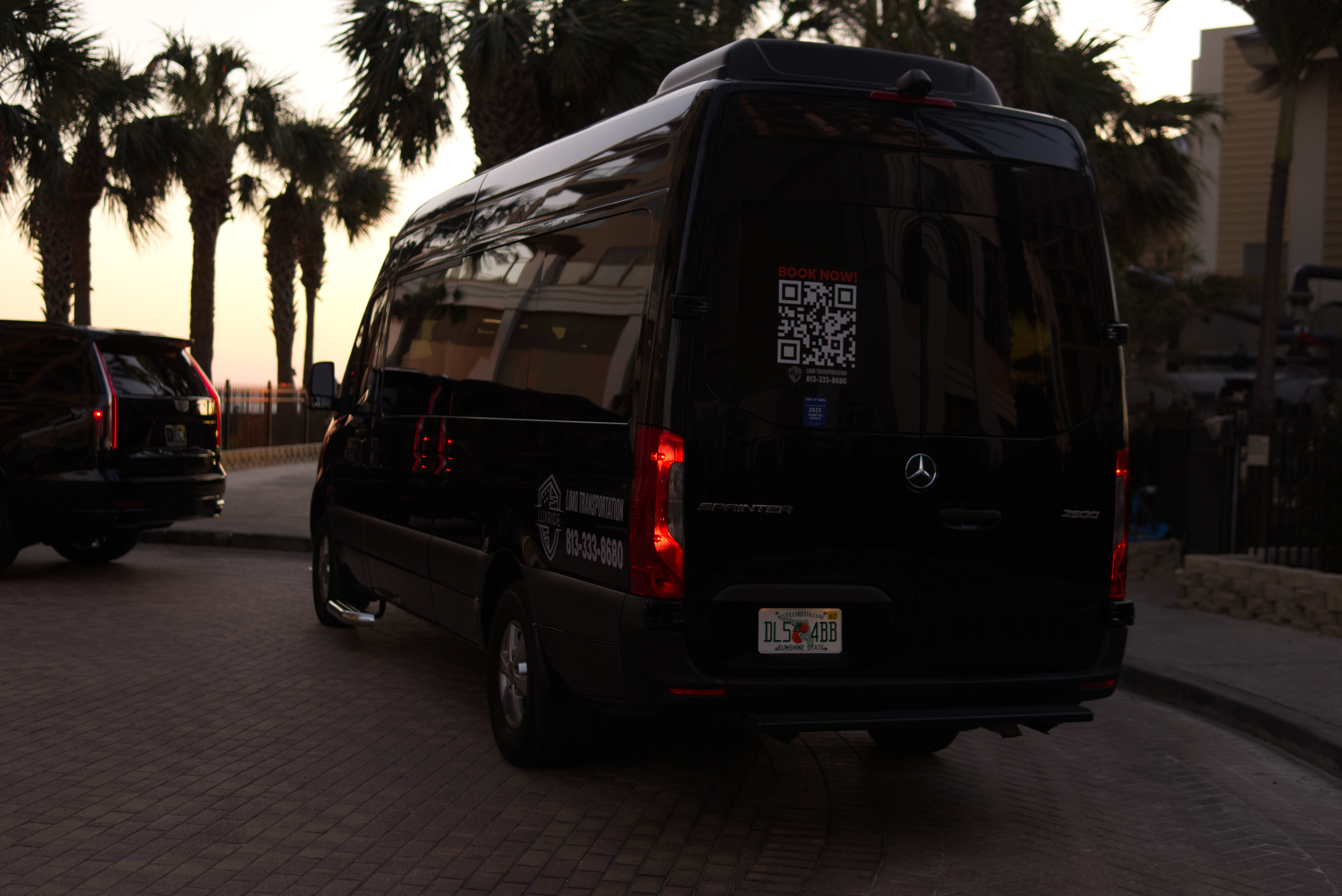 Mercedes Sprinter side profile with Limo Transportation branding - LuxRide fleet